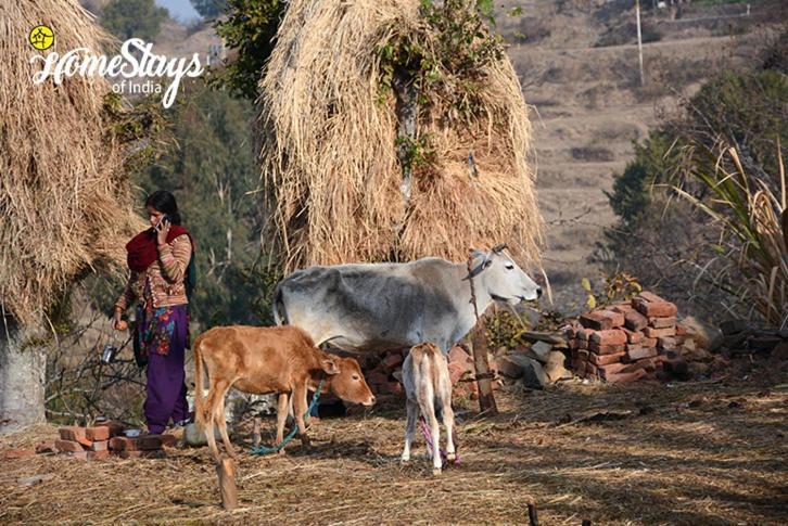 Dwarahat Village Farmstay- Babaji'S Cave Exterior photo